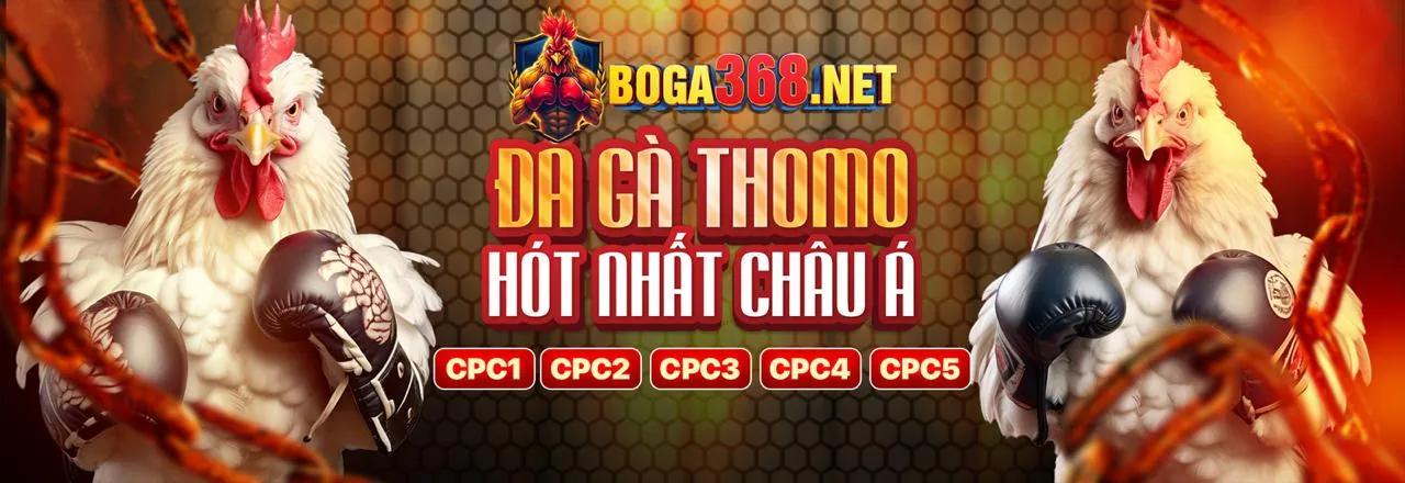 Đá Gà Trực Tiếp tại NEW88